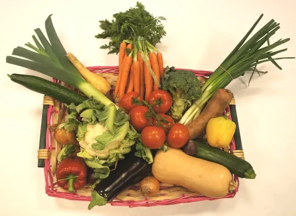De Groentenbox Seizoen groot van bovenaf: een mand met wortels, prei, bloemkool, tomaten, paprika, courgette, aubergine en pompoen.
