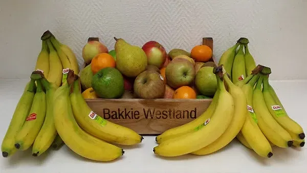 Fruitbox 60 stuks