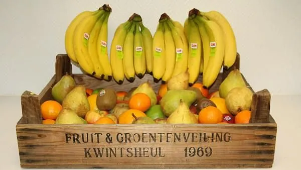 Fruitbox groot 100 stuks