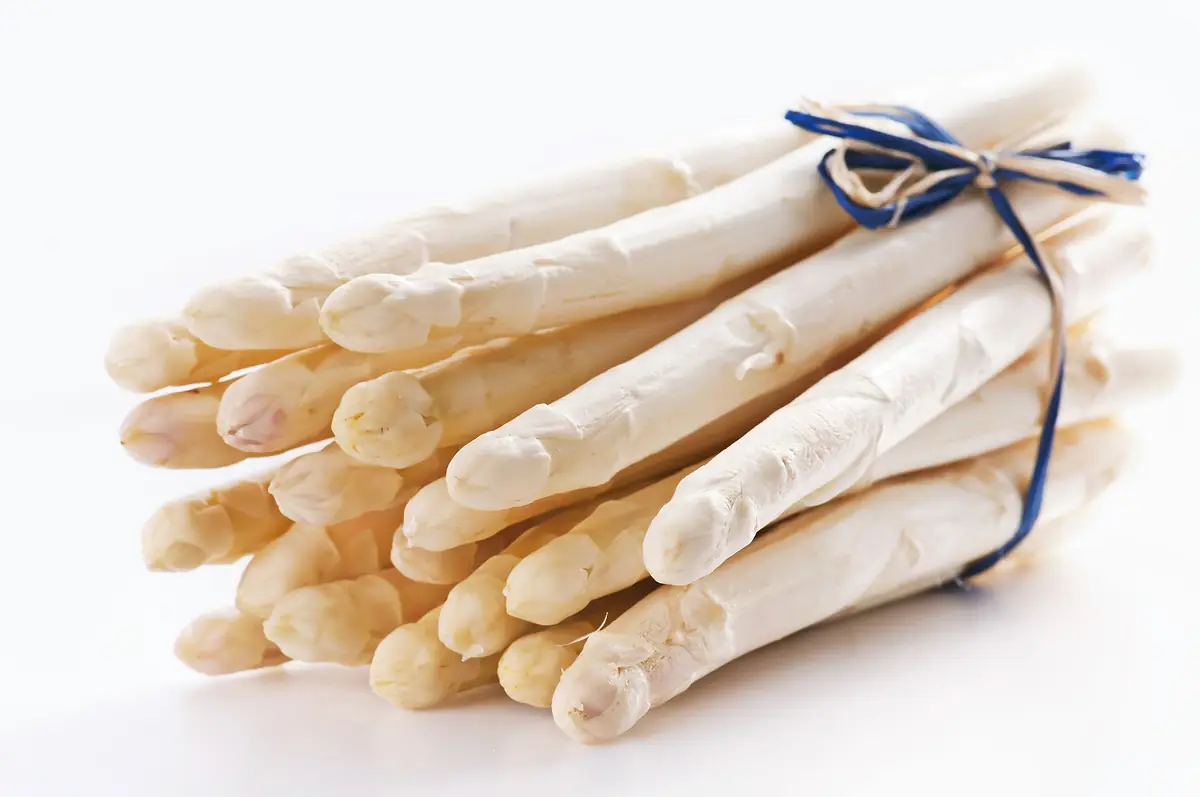 Asperges Limburg Klasse 2