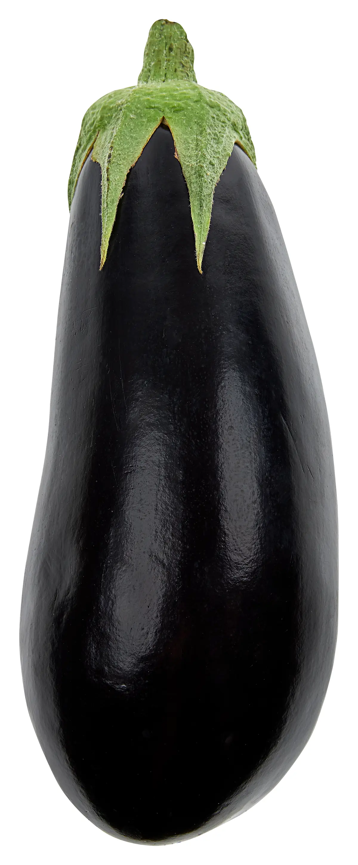 Aubergine Bio