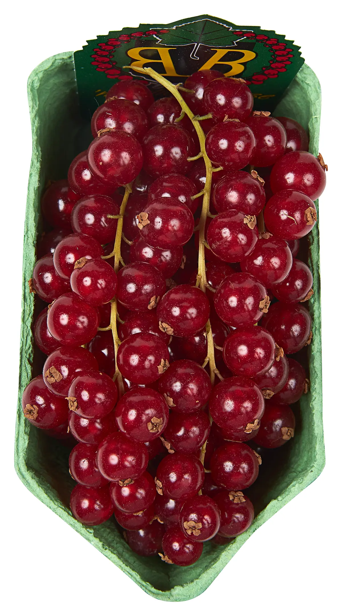 Bloedbessen