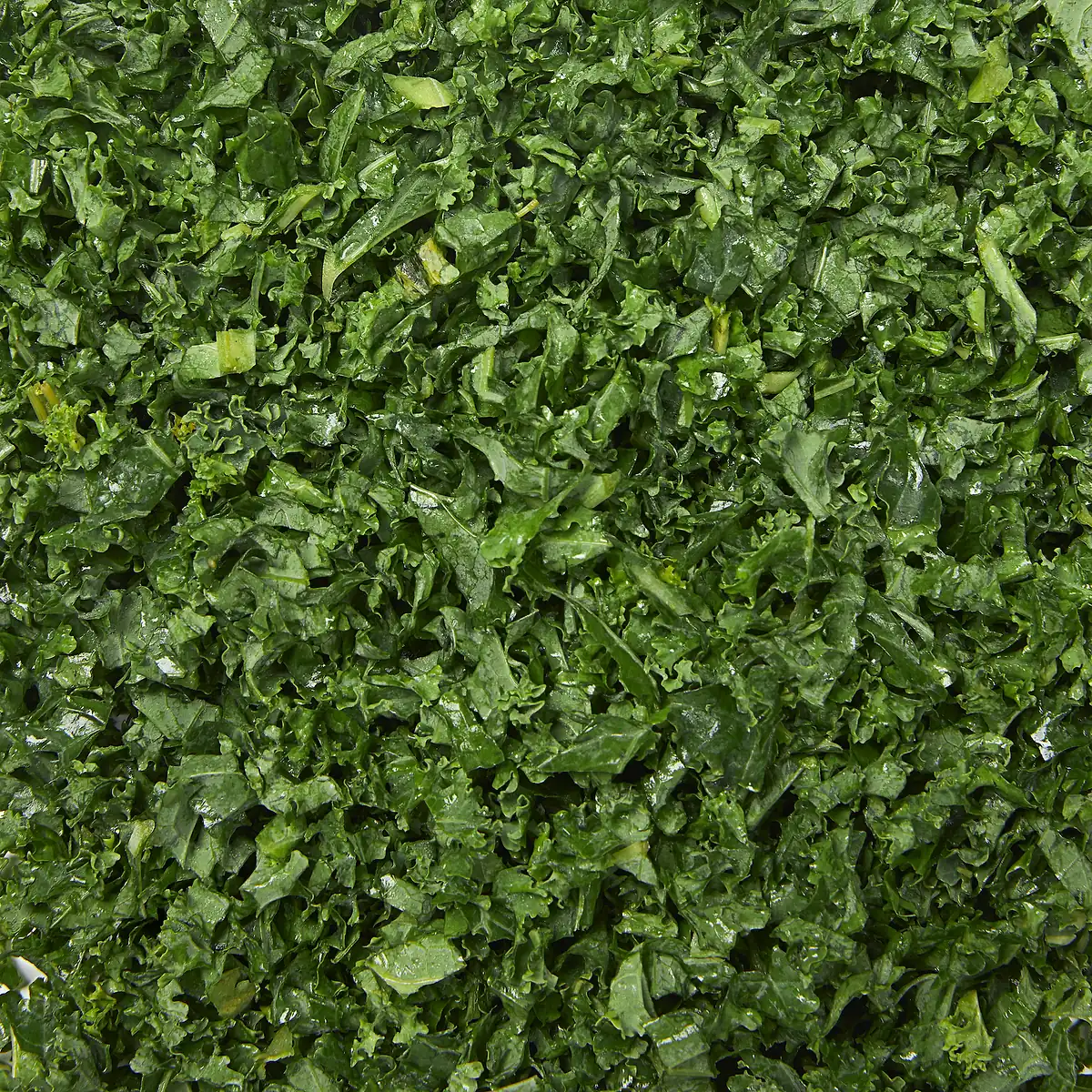Boerenkool Bio 300gram