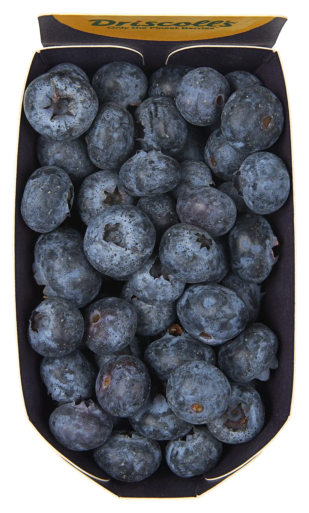bosbessen (blauwe bes)