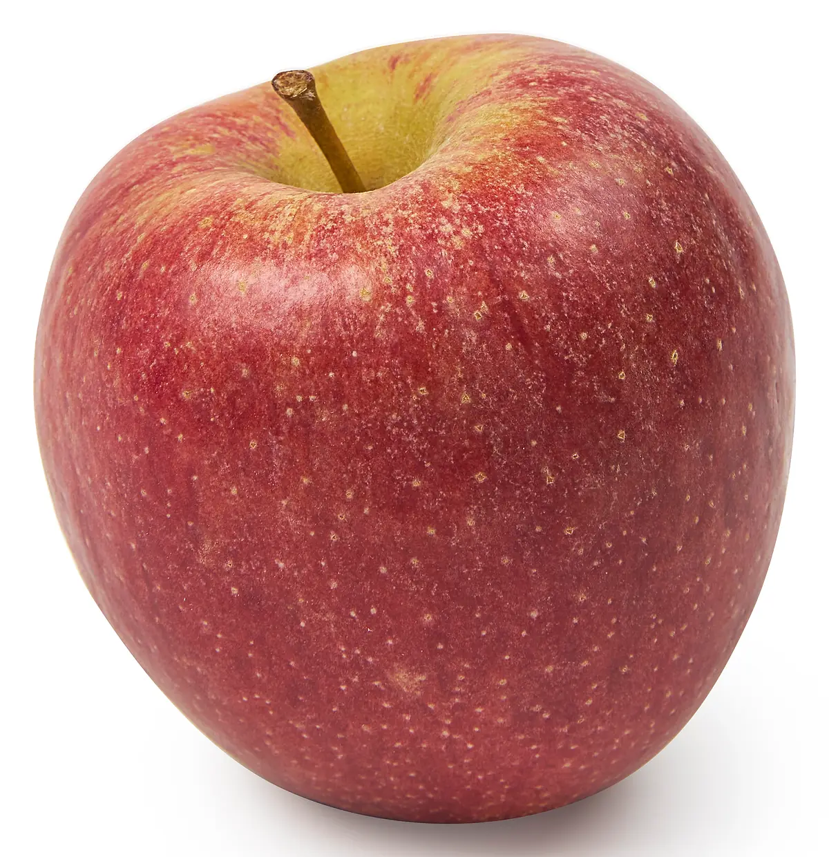 Braeburn marlene