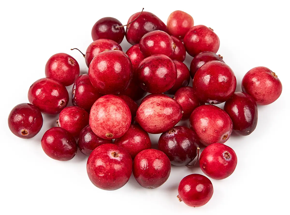 Cranberries holland