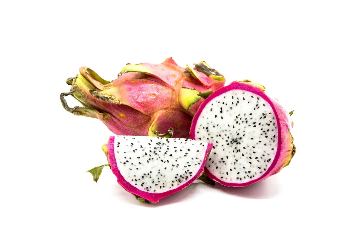 Dragon fruit vlieg