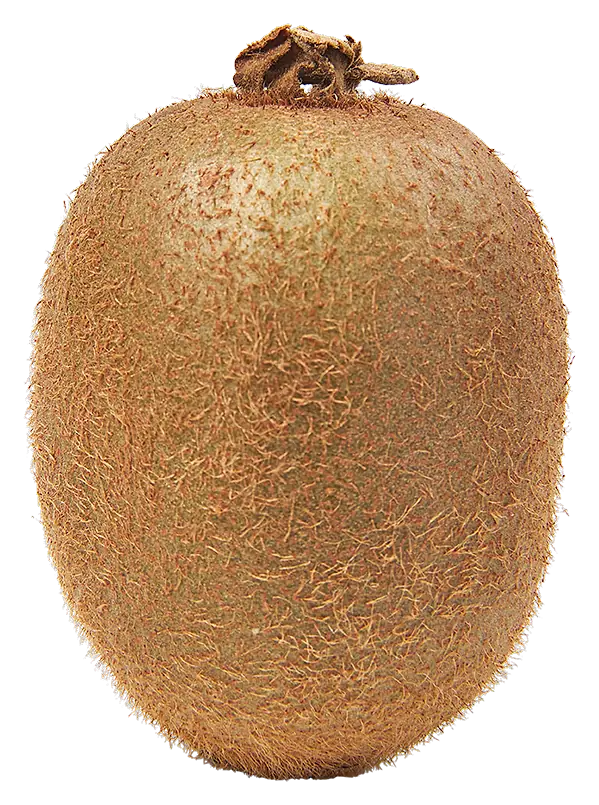 Kiwi groen