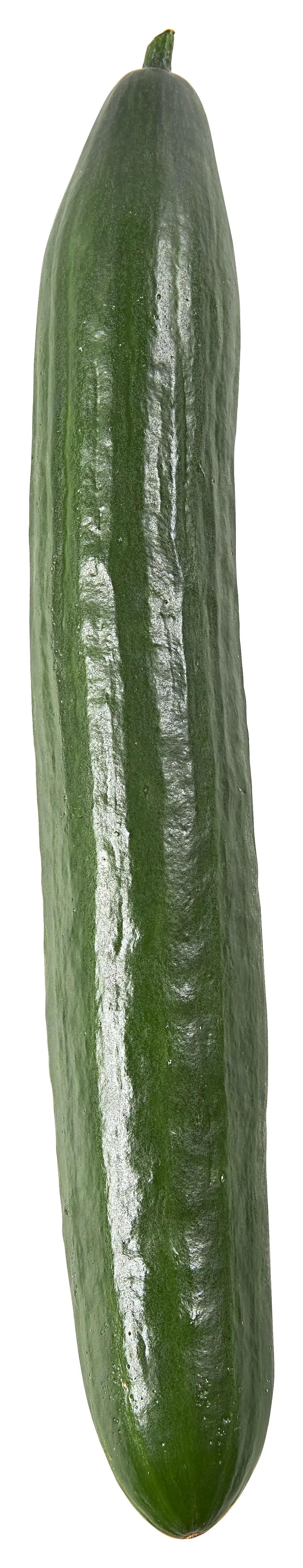 Komkommer groot NL Bio