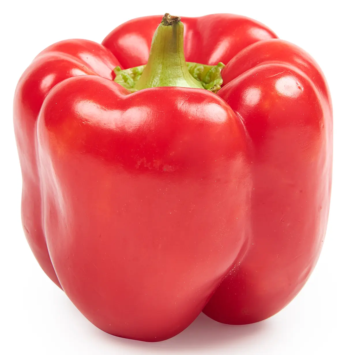Paprika rood Holland groot