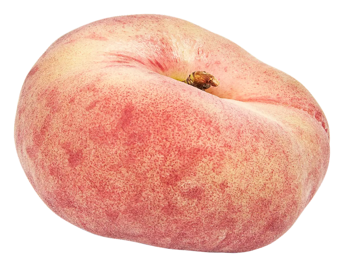 Paraquayo