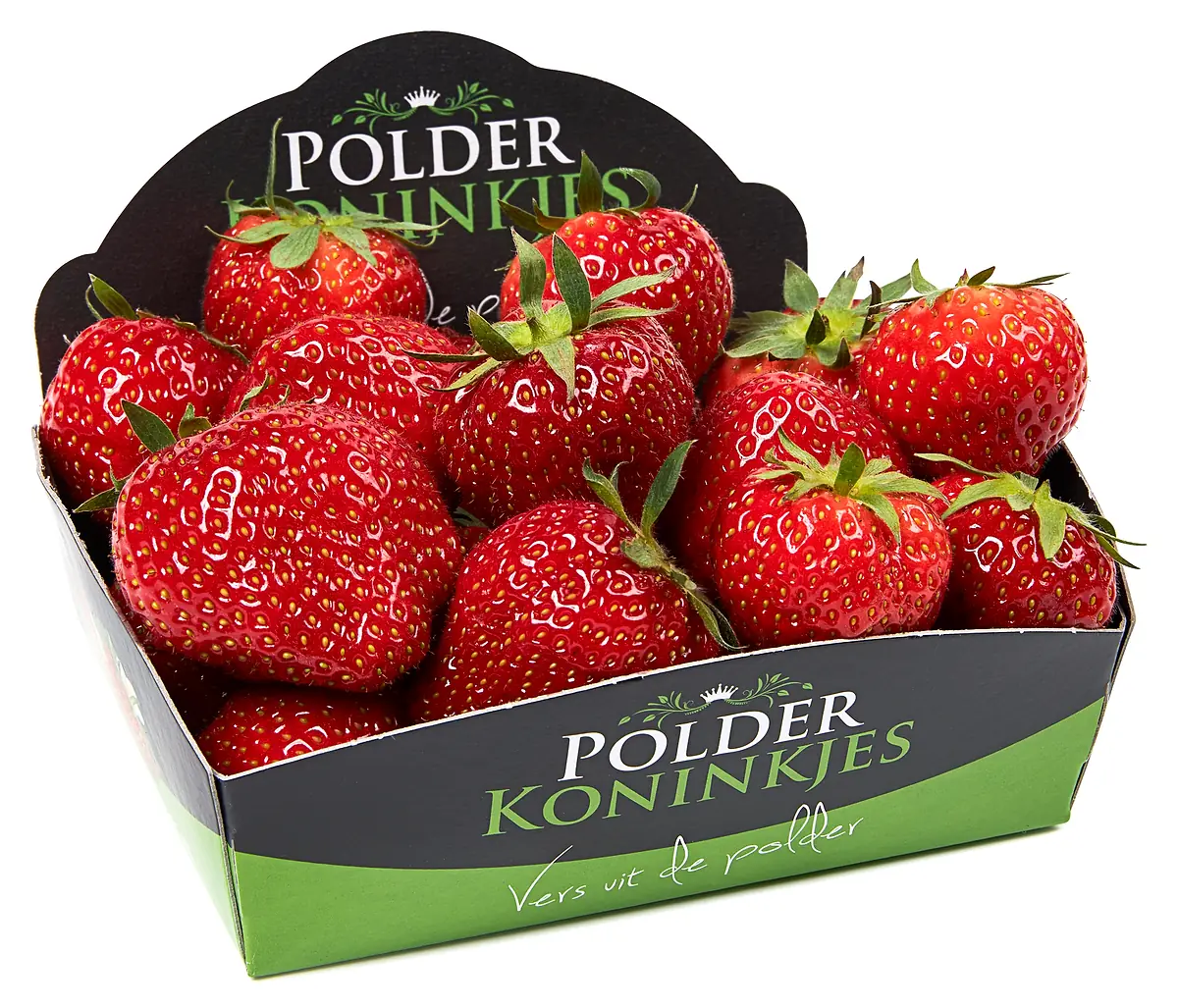 Polderkoninkjes aardbeien mega