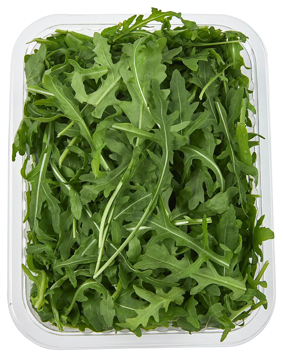 Rucola