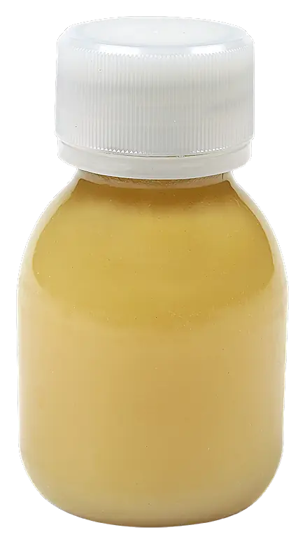 Sap shot gember appel citroen