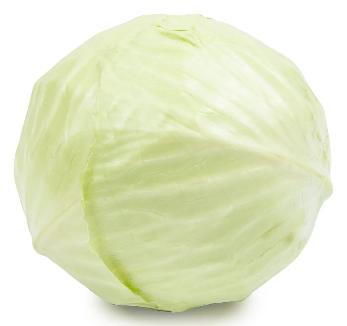 Witte kool groot