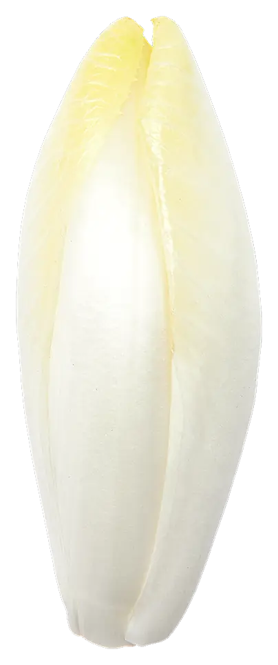 Witlof ham