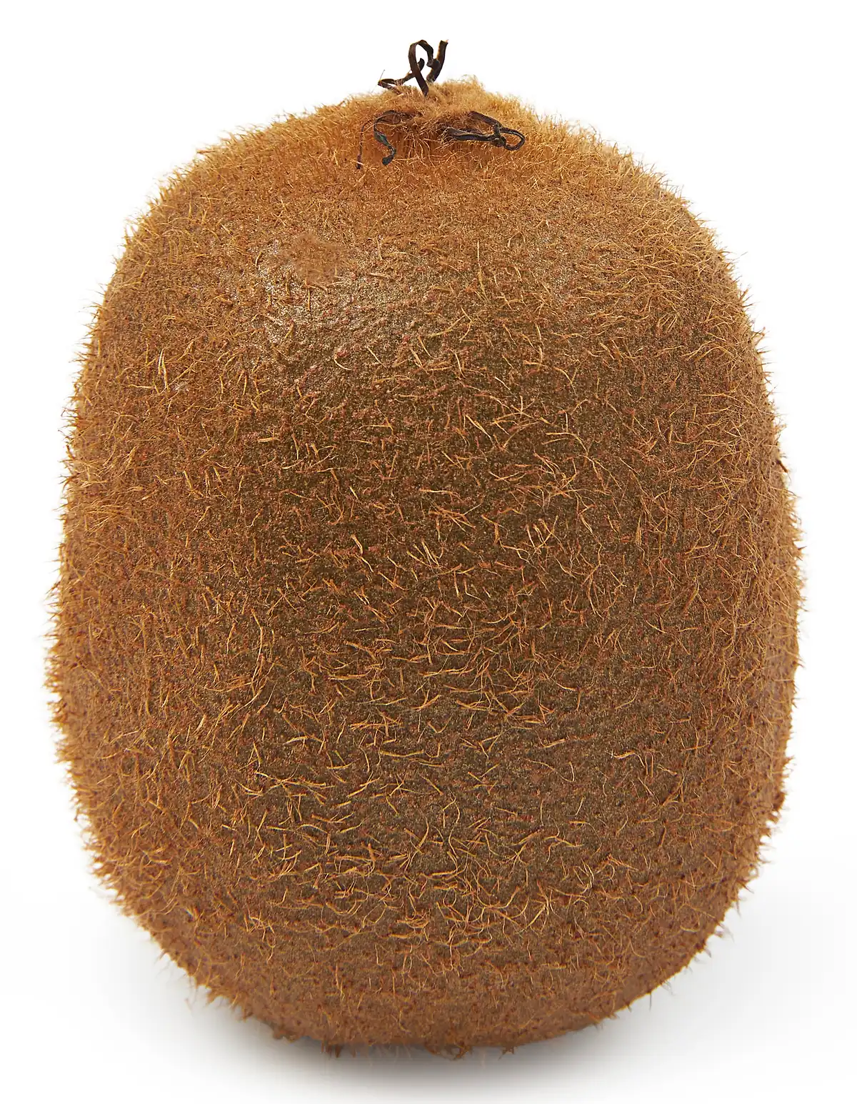 Zespri kiwi groot