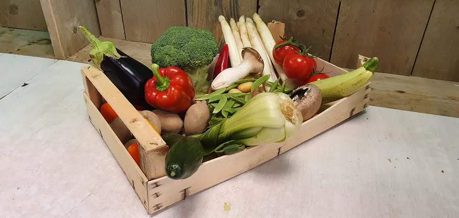 De Veggiebox seizoen in een grenen kistje op de toonbank: aubergine, paprika, broccoli, asperges, tomaten, venkel en paksoi.